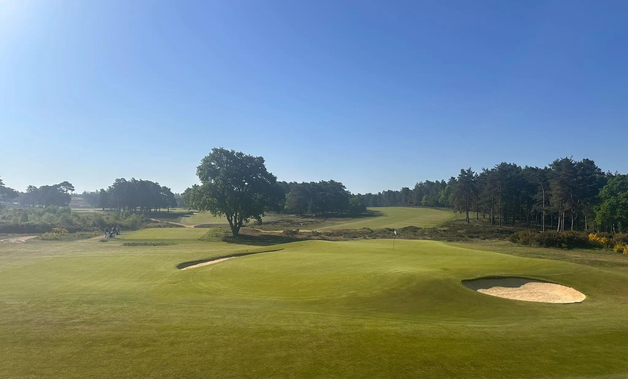 Hankley Common Golf Club (Surrey, England), course feature and holes