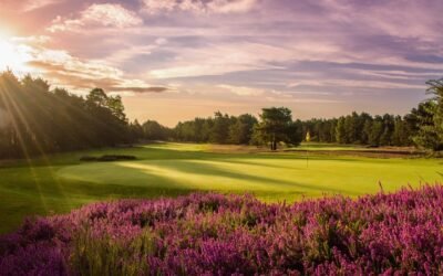 Sunningdale Golf Club Old Course