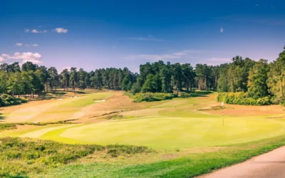 Swinley Forest Golf Club