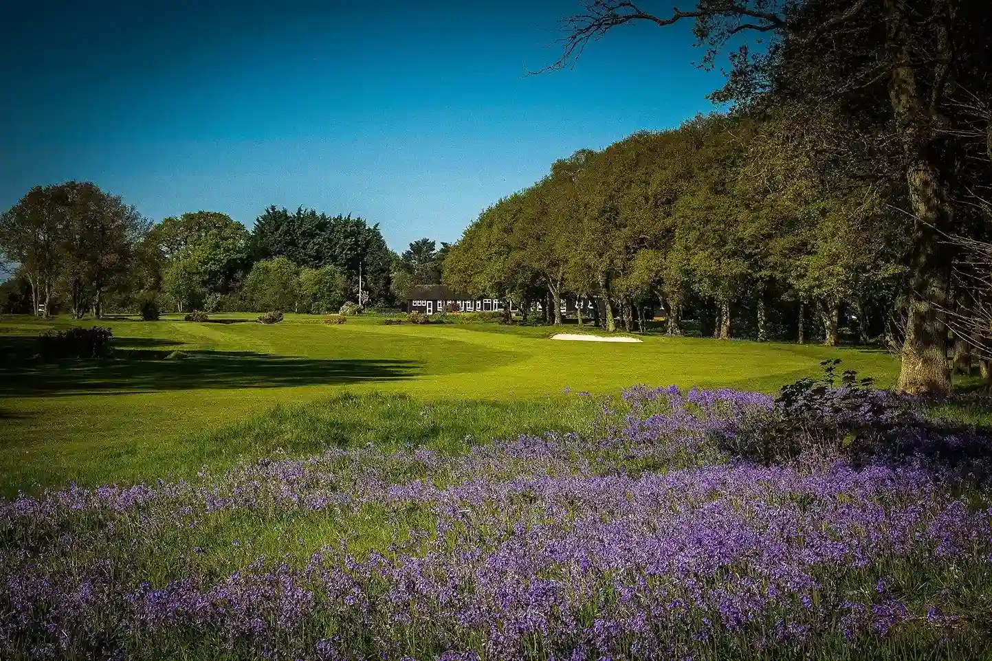 Huntercombe Golf Club (Nuffield, Oxfordshire, England) Huntercombe Golf Club (Nuffield, Oxfordshire, England), course features and holes