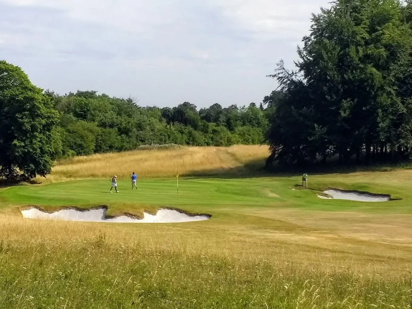 Effingham Golf Club (Effingham, Surrey, England) Effingham Golf Club (Effingham, Surrey, England), course features and holes