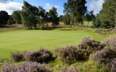 Enville Golf Club Highgate Course