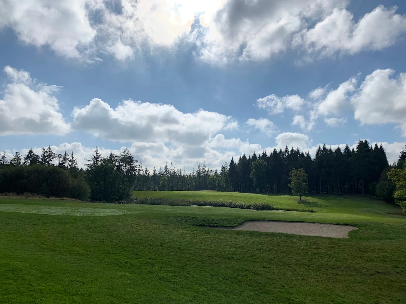 Remedy Oak Golf Club (Dorset, England) Remedy Oak Golf Club (Dorset, England), course features and holes