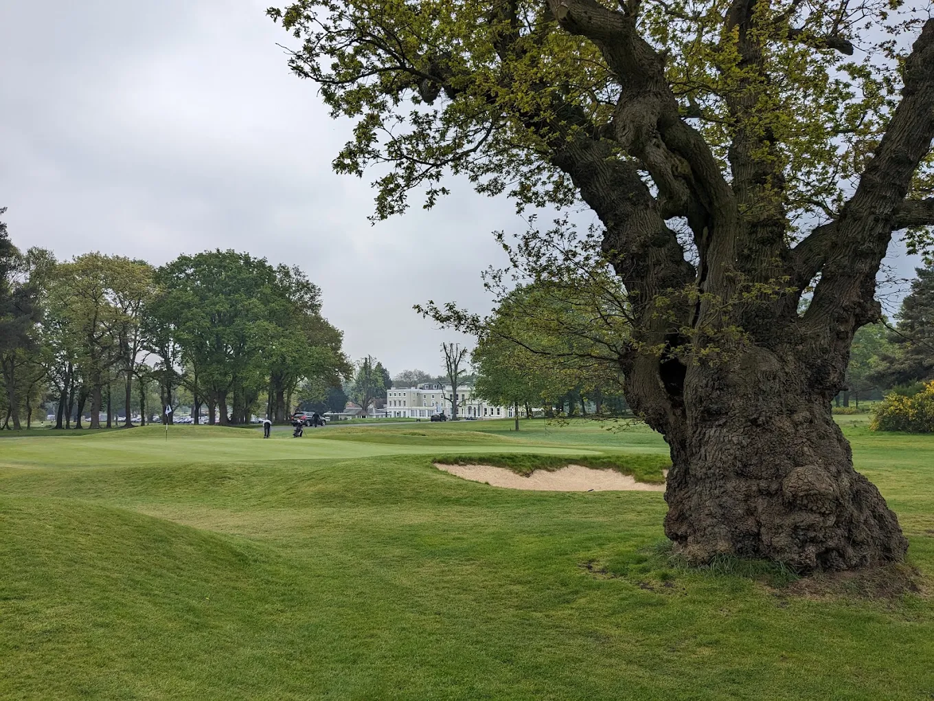 Burhill Golf Club Old Course (Surrey, England) Burhill Golf Club Old Course (Surrey, England), course features and holes