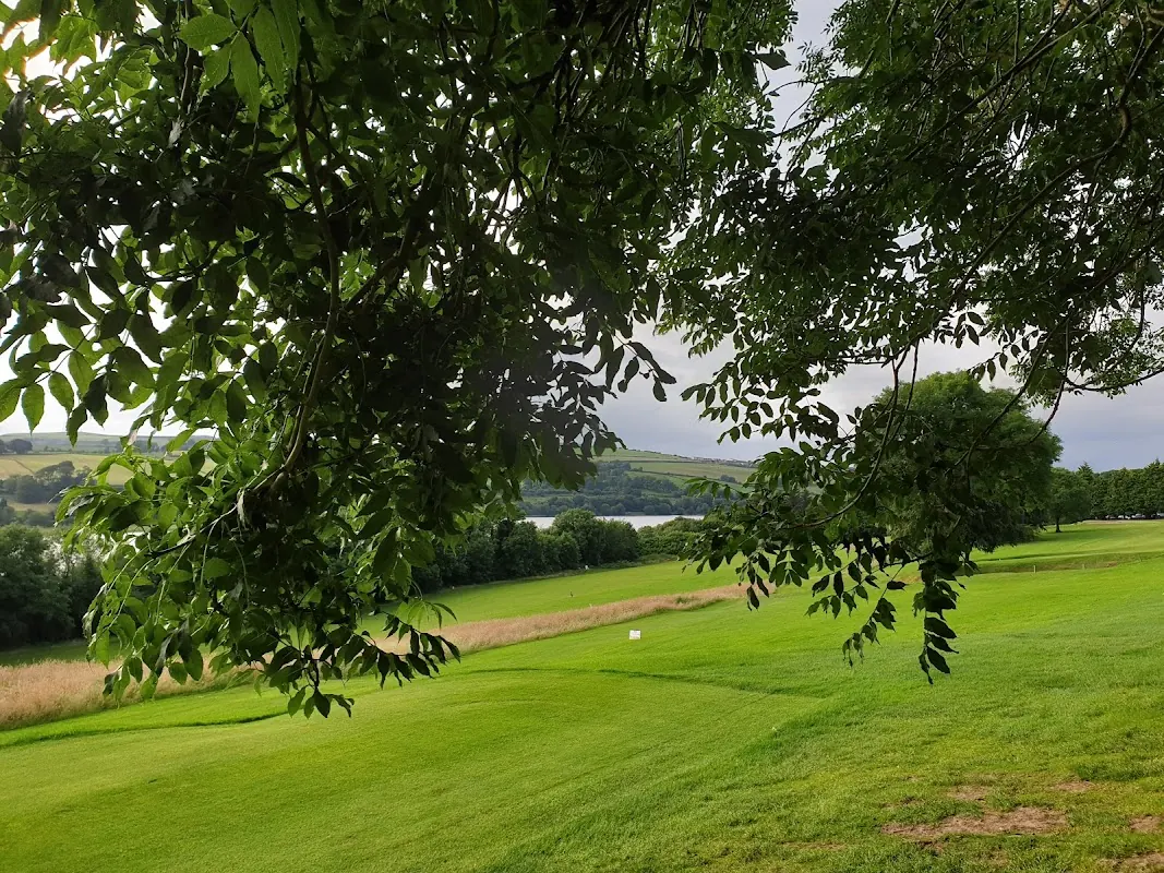 City of Derry Golf Club — a tree-framed parkland fairway above the Foyle