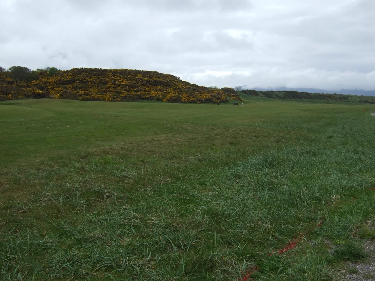 Royal Dornoch Golf Club — a fairway on the Championship Course