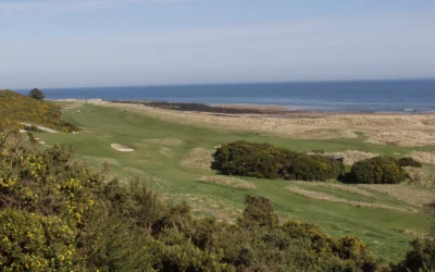 Royal Dornoch Golf Club (Championship)