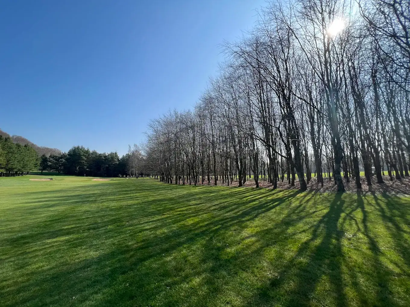 Moyola Park Golf Club — a tree-lined parkland fairway Moyola Park Golf Club — a tree-lined parkland fairway